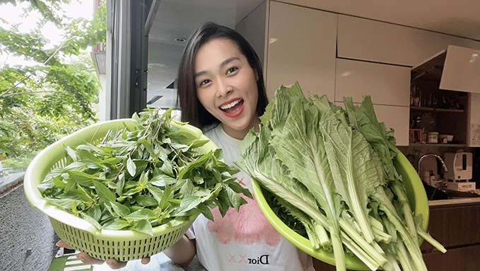 Nghe si cham soc vuon cay, trong rau khi gian cach hinh anh