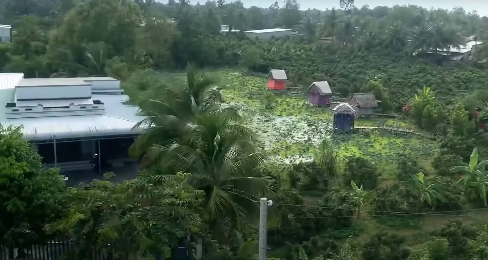 Cuộc sống của Hoài Lâm ảnh 3 Cuoc song cua Hoai Lam anh 3