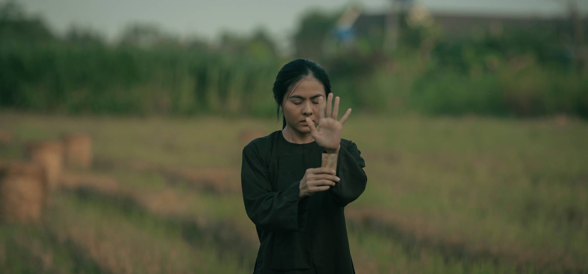 Phim Viet ra mat dip Tet anh 2