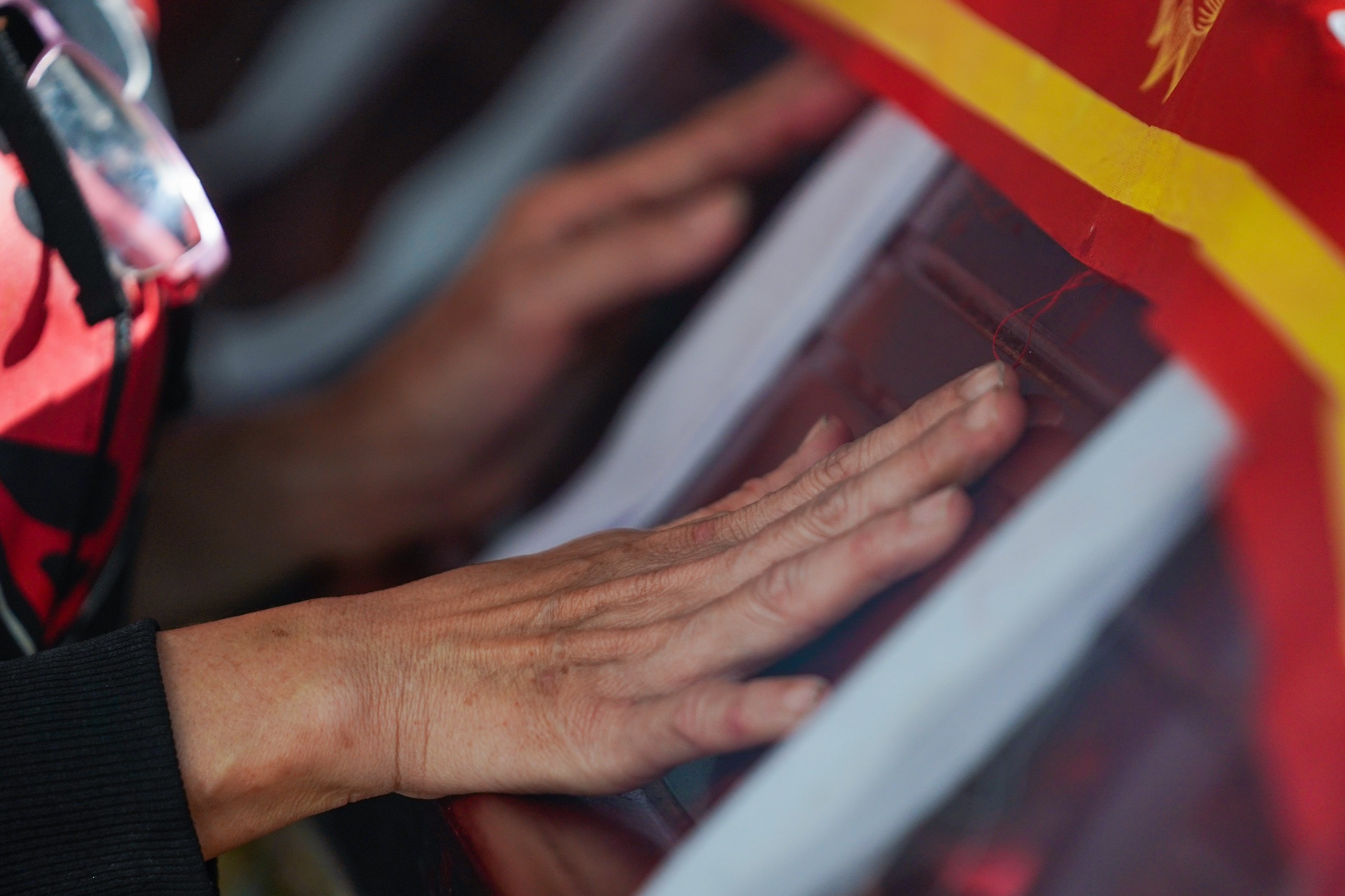 Le tang Bao Bao anh 4