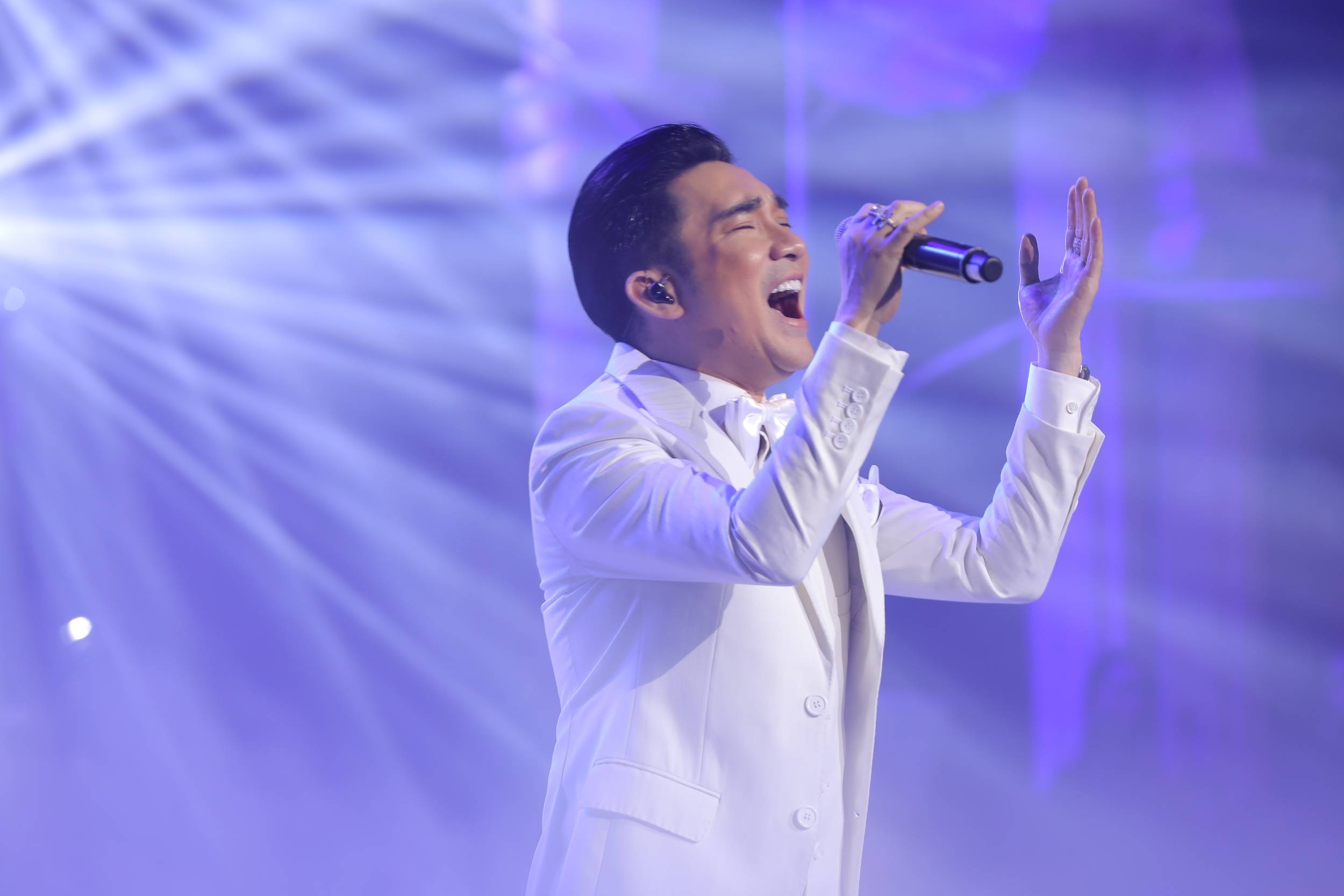 dem nhac Hong Nhung,  Bang Kieu anh 3