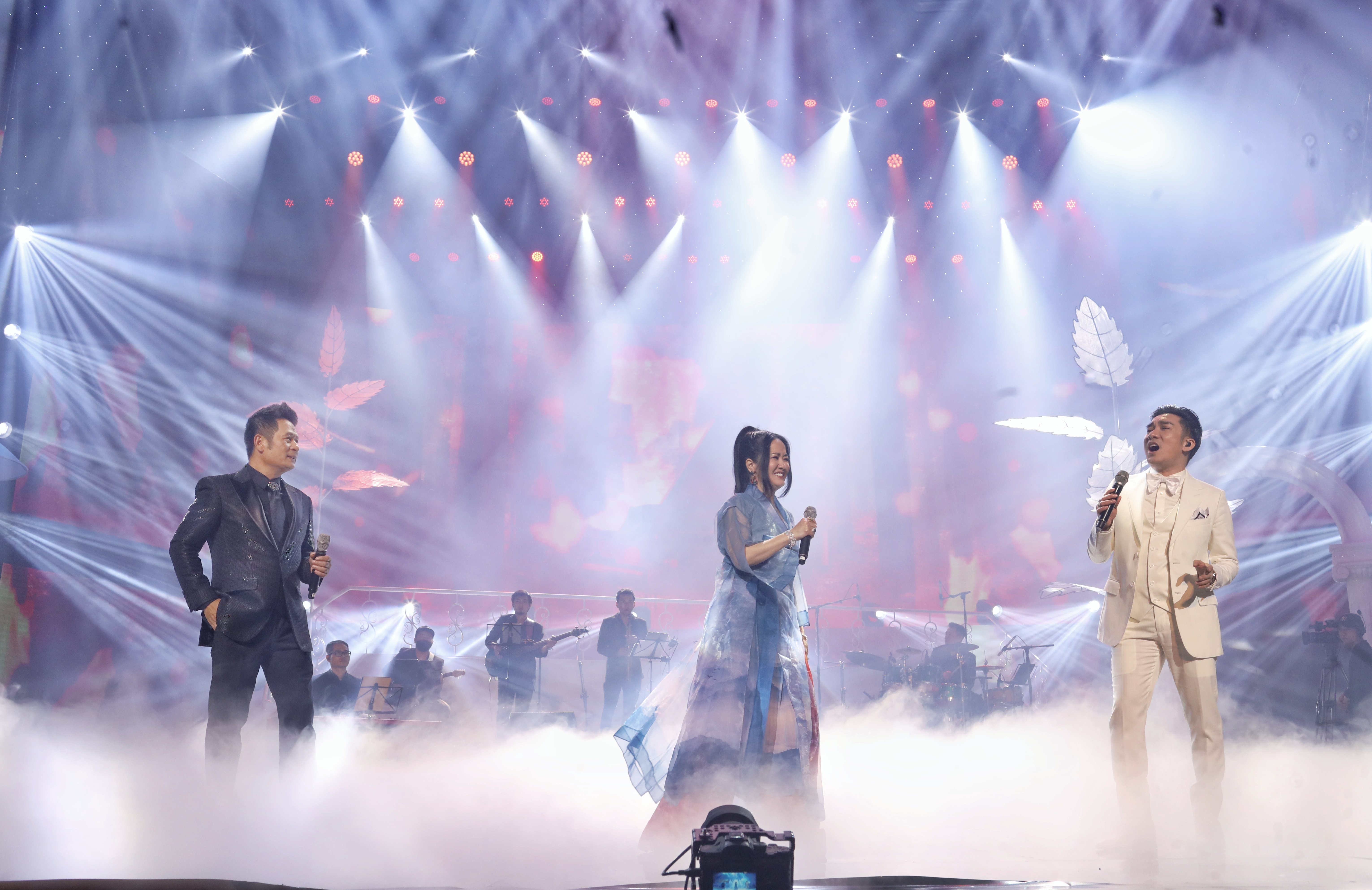 dem nhac Hong Nhung,  Bang Kieu anh 7