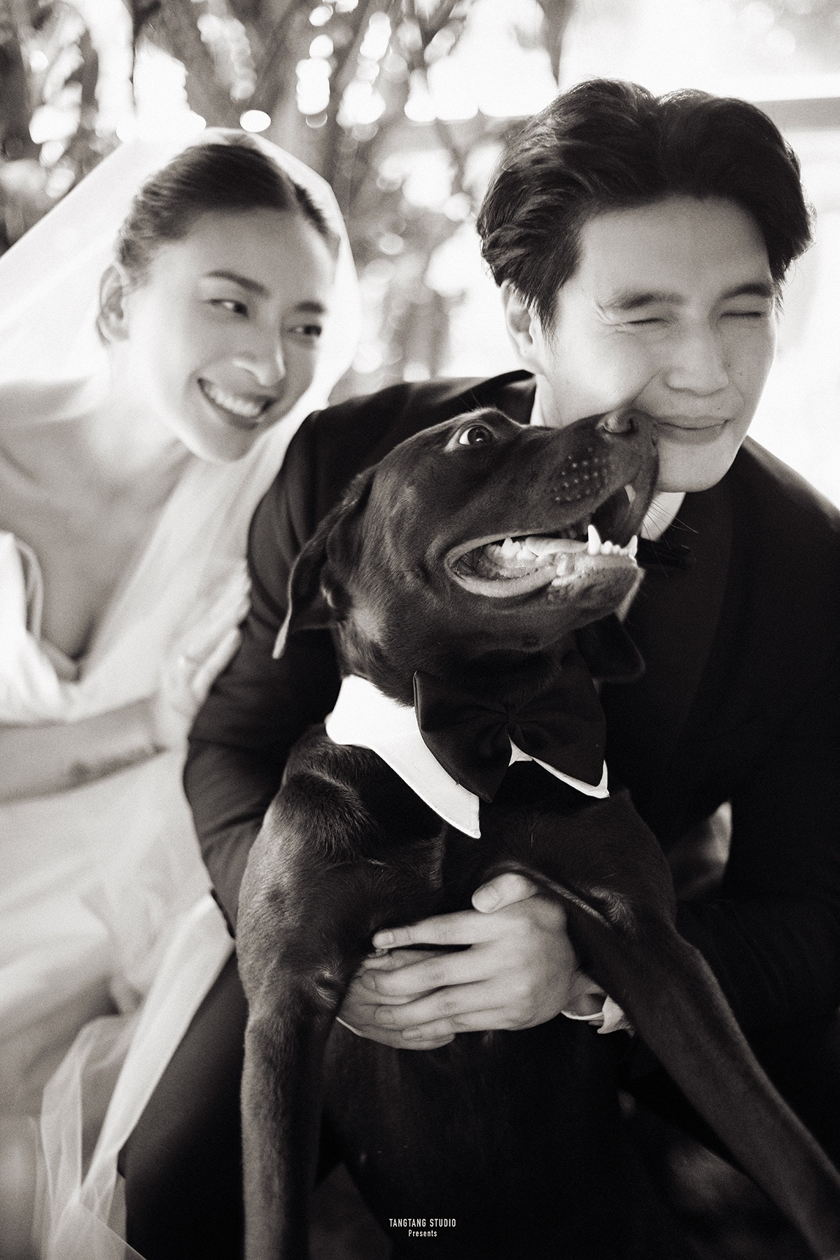 Anh cuoi Ngo Thanh Van anh 7