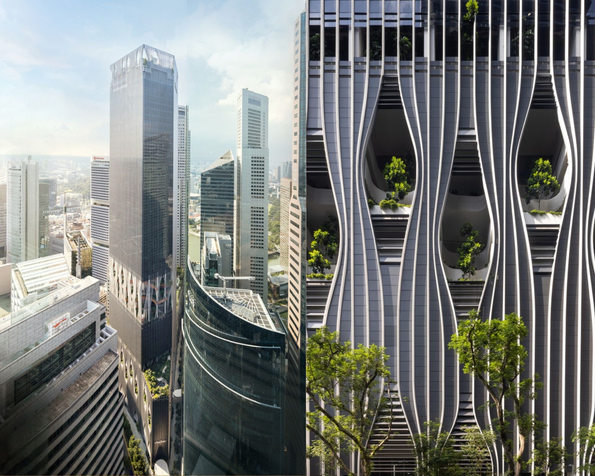 Capital Spring anh 1