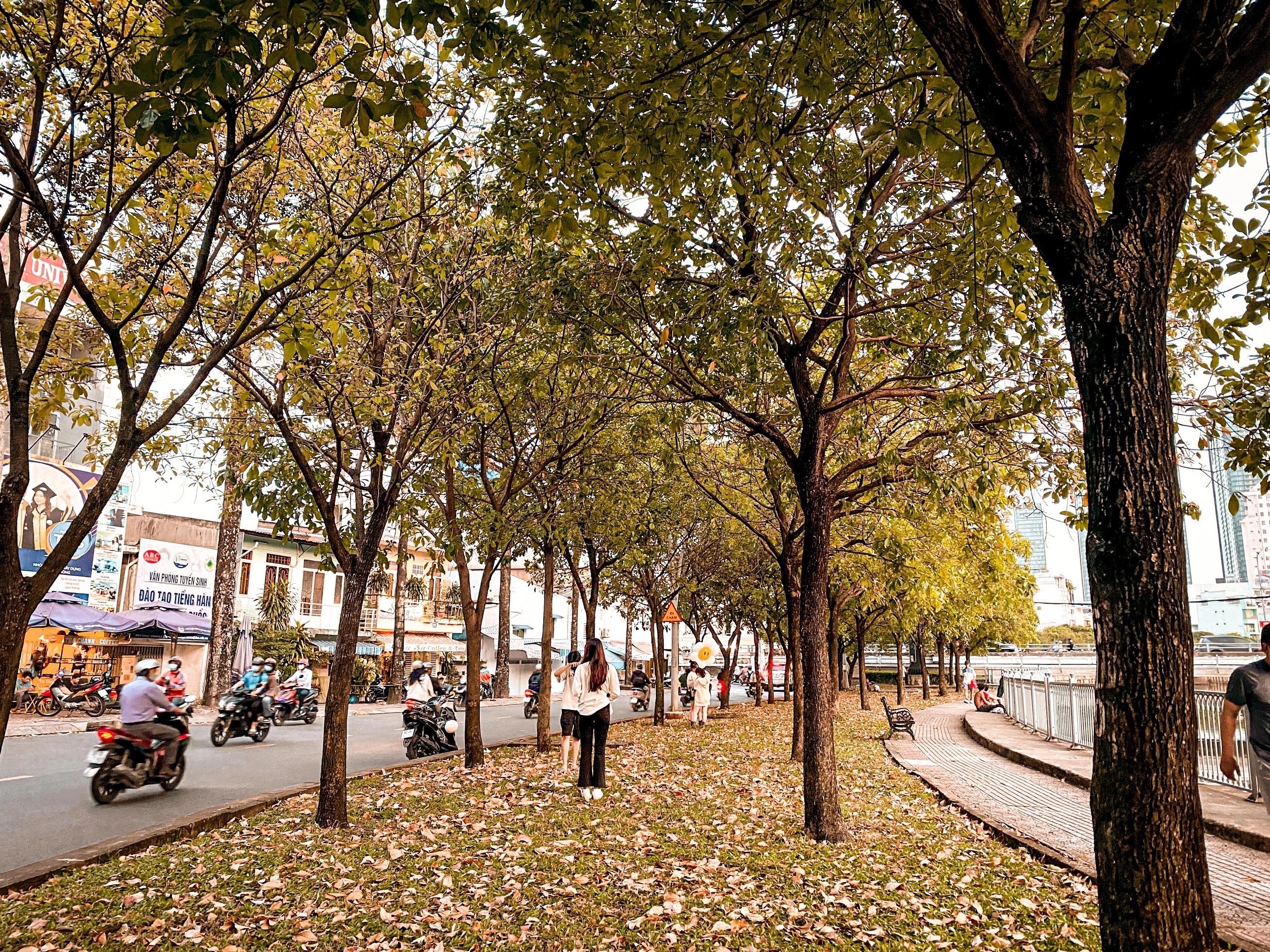 Check-in duong Han Quoc giua TP.HCM hinh anh