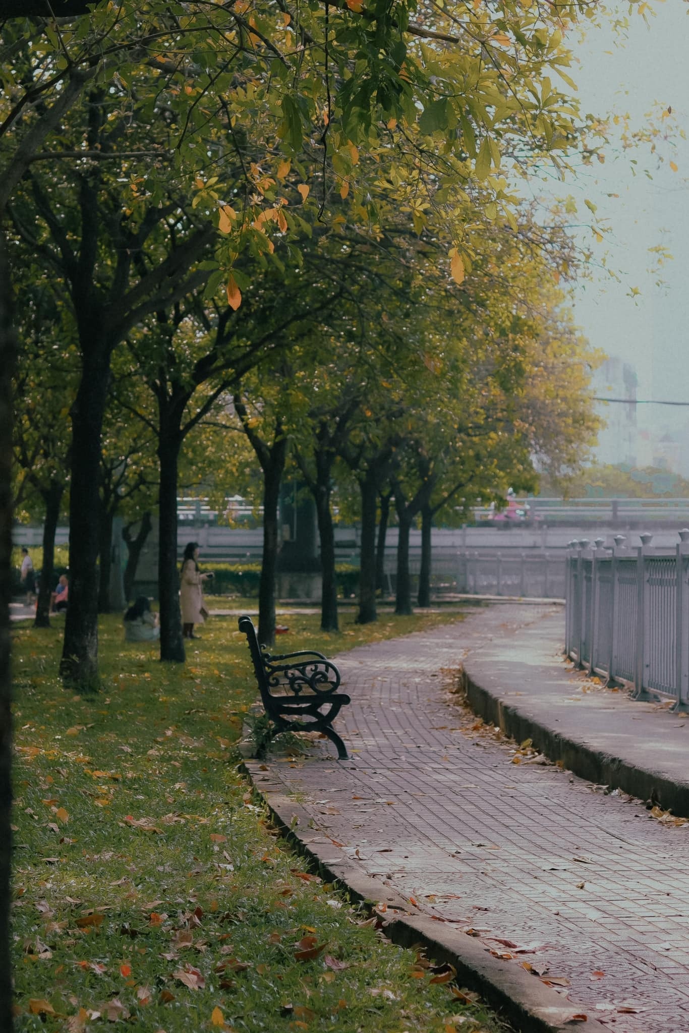 du lich TP.HCM anh 8