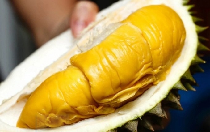 sau rieng Musang King anh 2