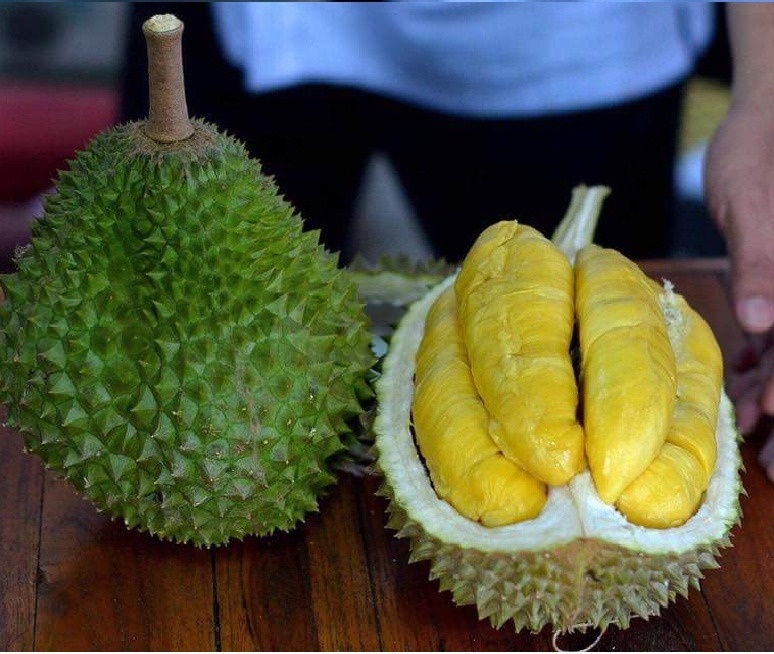 sau rieng Musang King anh 3