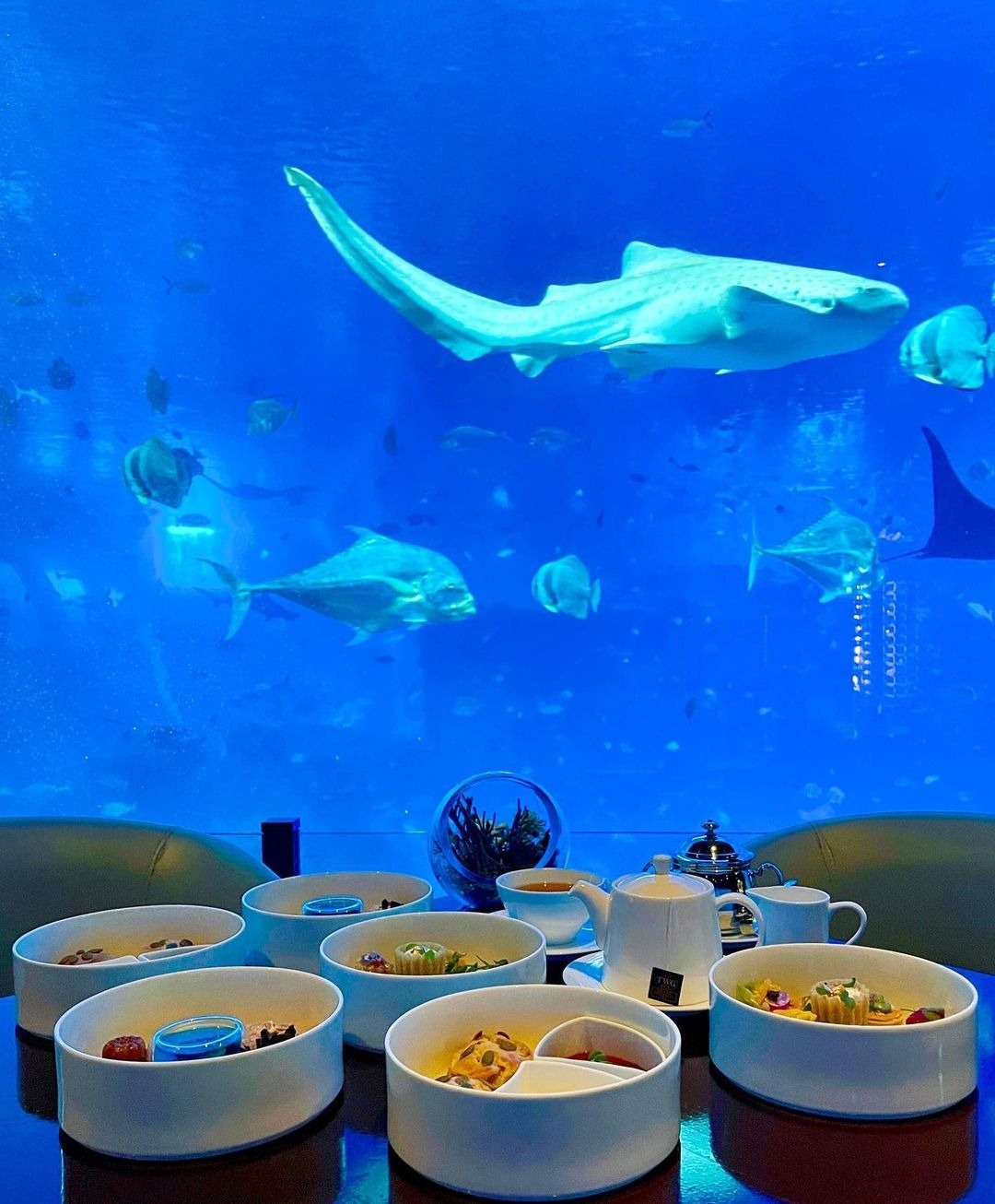 du lịch Singapore ảnh 16 du lich Singapore anh 16