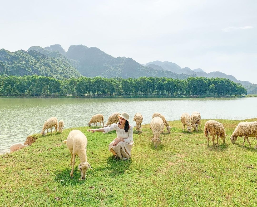 Dong cuu nhu khu vuon co tich o Ninh Binh hinh anh