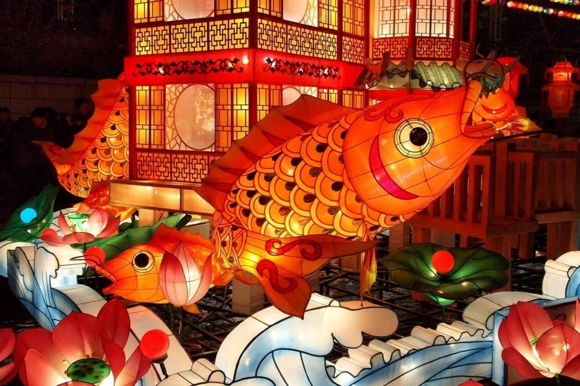 le hoi den long anh 8