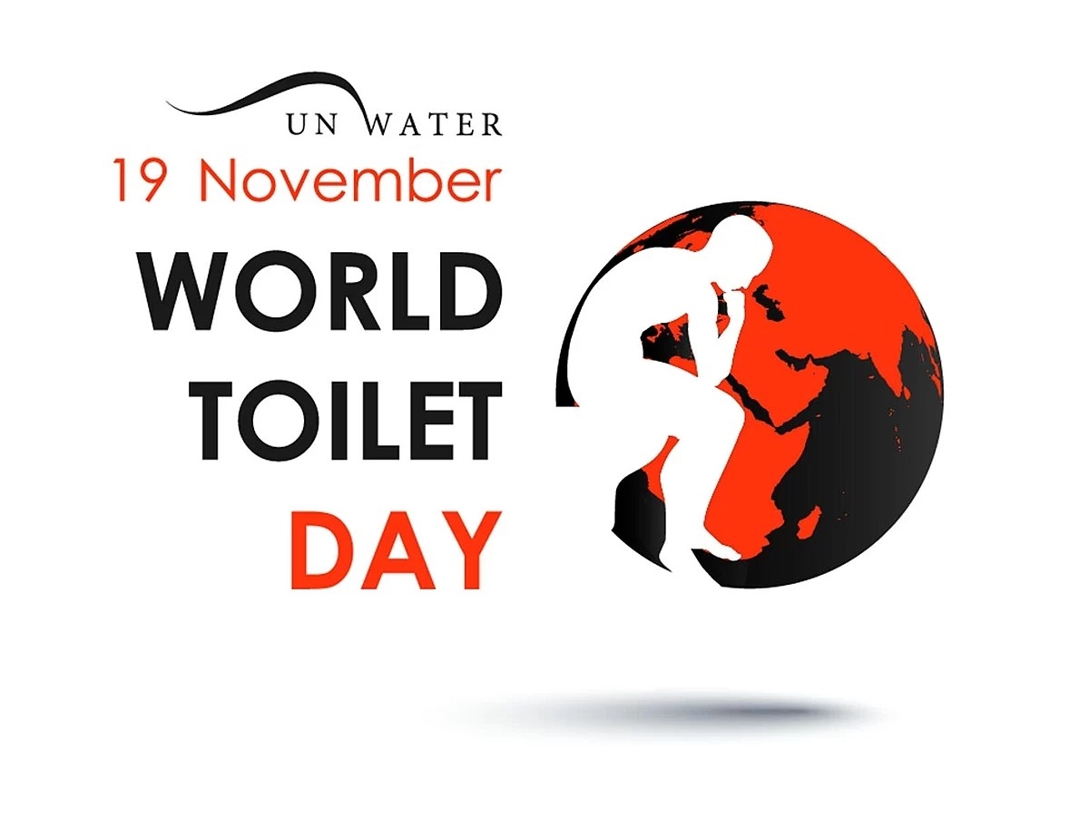 World Toilet Day ảnh 1 World Toilet Day anh 1