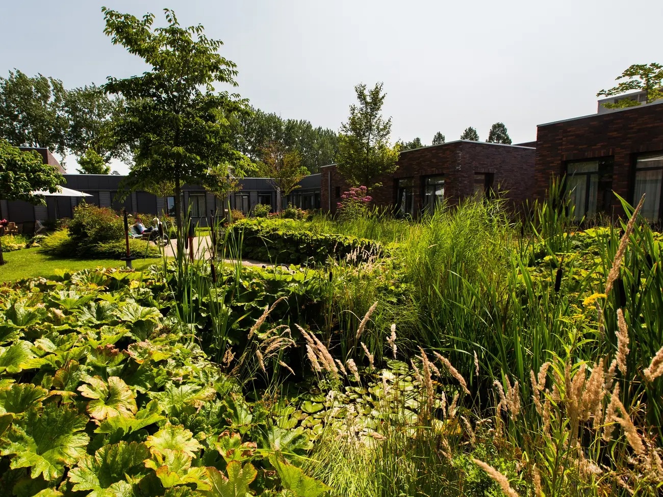 ngoi lang bat thuong anh 9