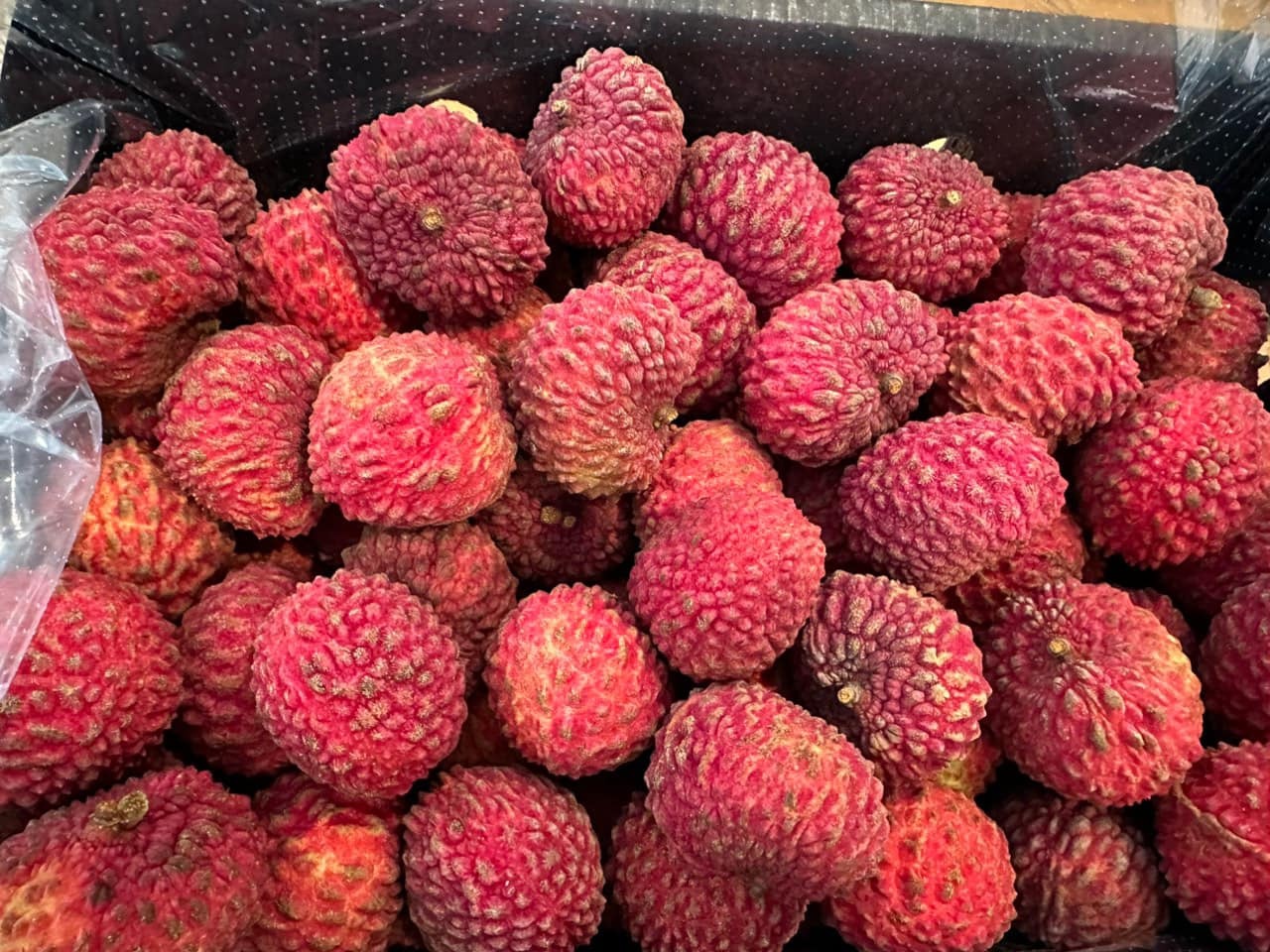 mon ngon Australia anh 4