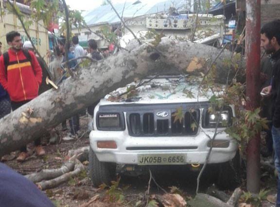 Dong dat 7,5 do Richter o Nam A, gan 280 nguoi chet hinh anh