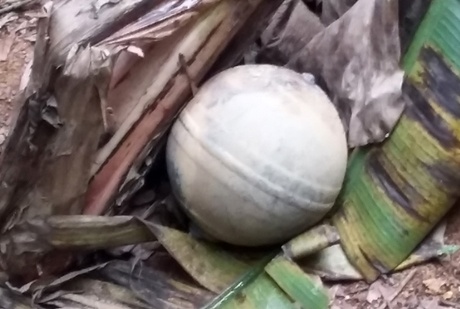 Vat the la roi sau tieng no lon o Tuyen Quang, Yen Bai hinh anh