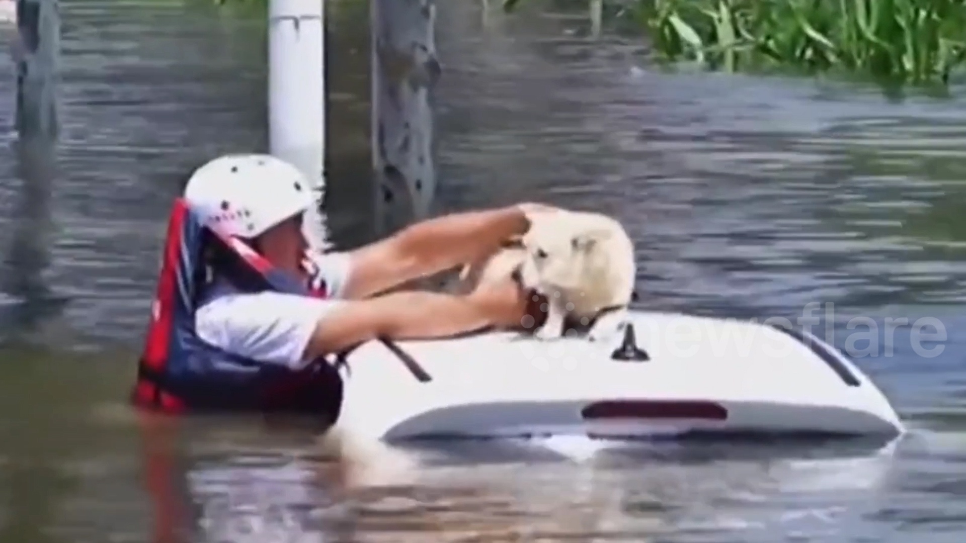 Chu cho mac ket tren noc chiec oto trong nuoc lu o Trung Quoc hinh anh