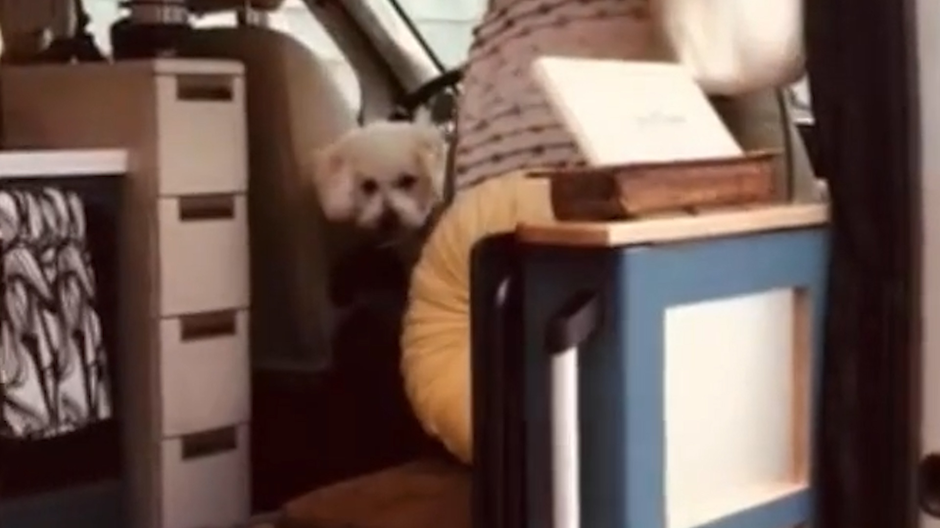 Benh nhan ung thu o My ban nha, song tren xe cung cho cung hinh anh