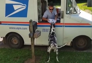 Chu cho thong minh biet nhan thu cho chu hinh anh