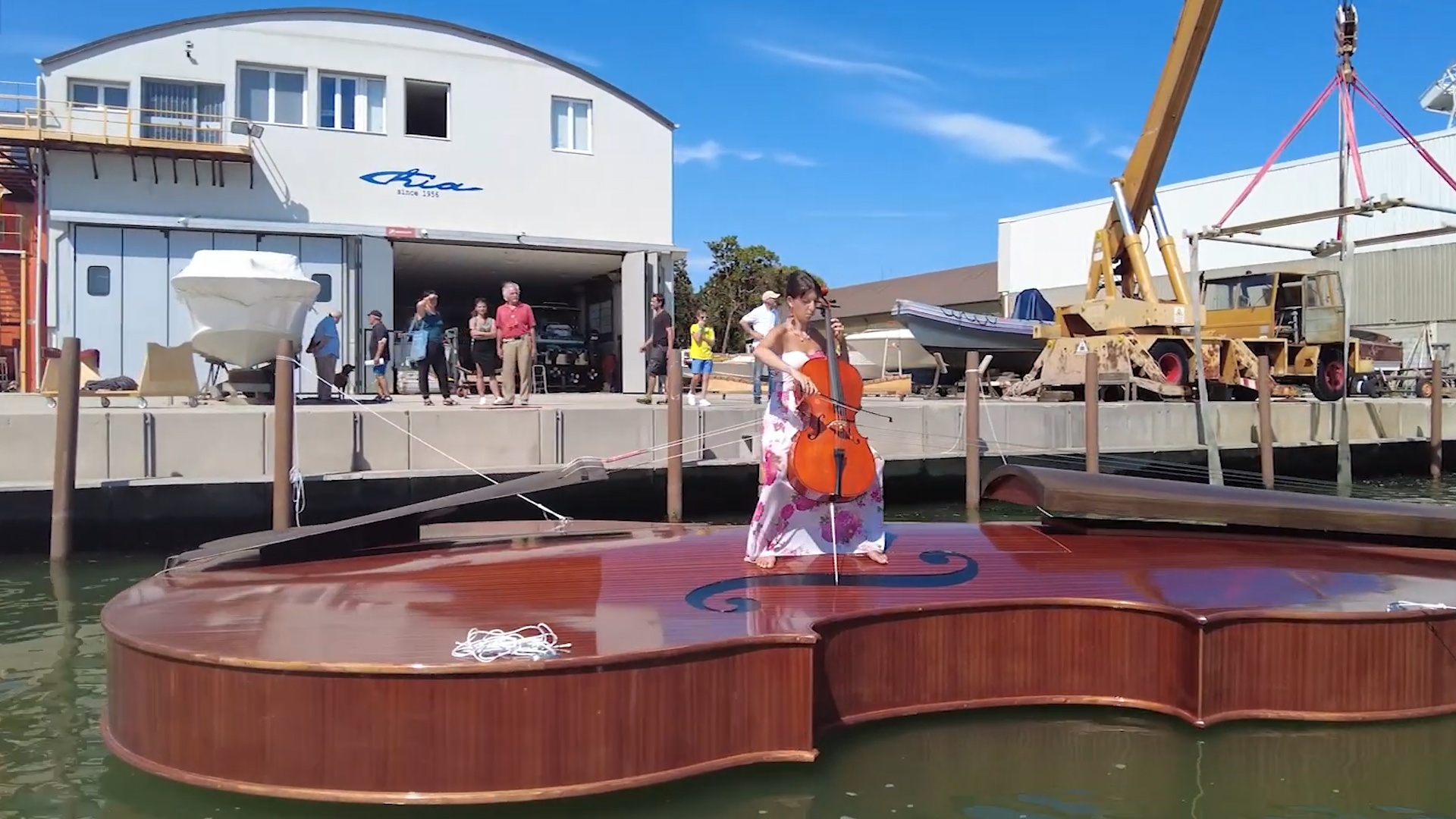 Nghe si bieu dien tren cay vi cam dai hon 12 m hinh anh