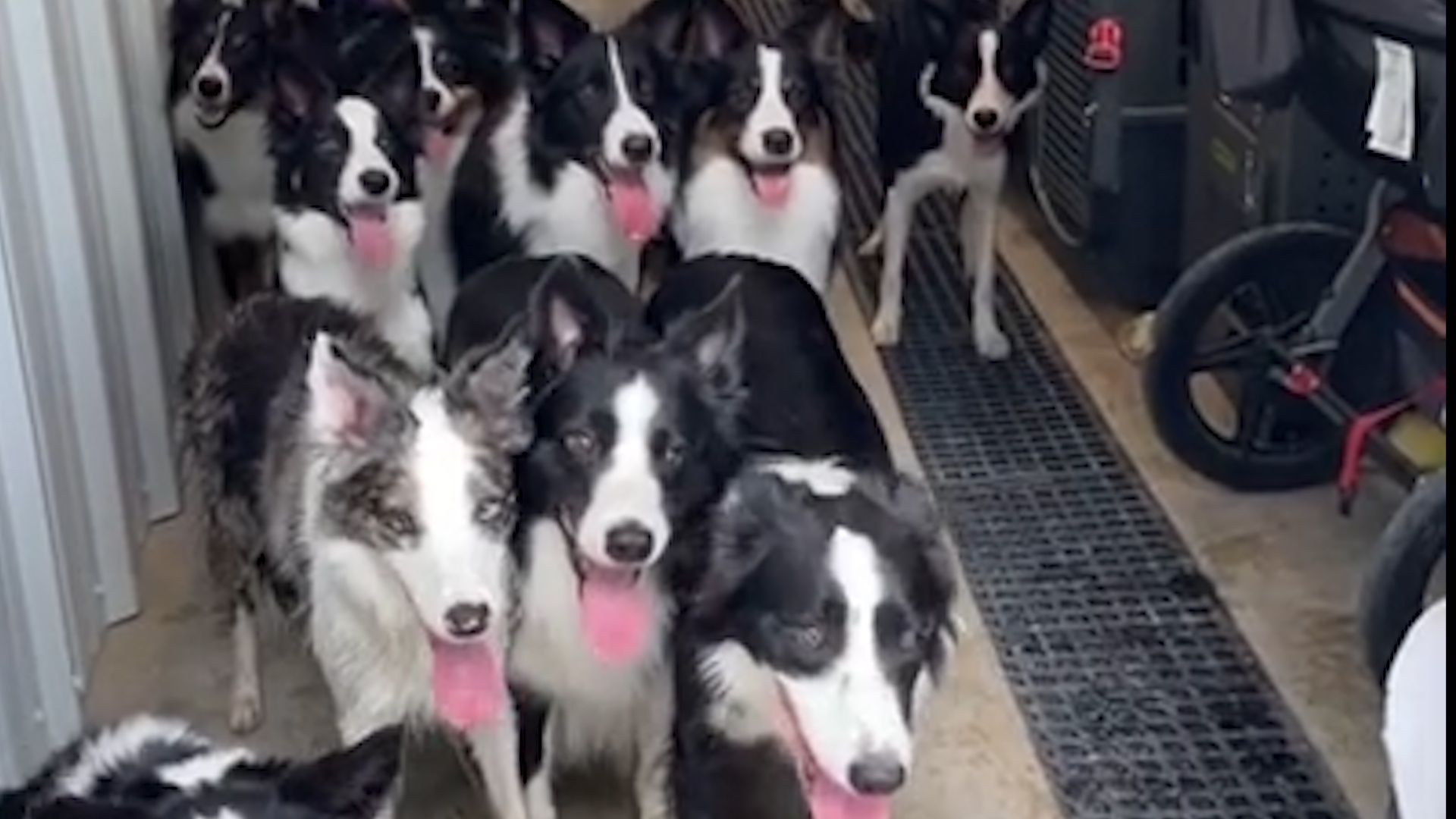 Nhung chu cho xep hang cho goi ten hinh anh