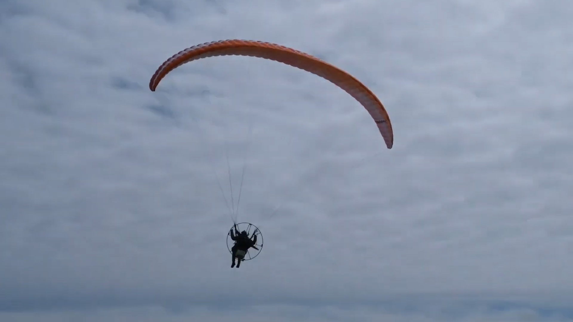 Bo nhay du cung con gai 2 tuoi hinh anh