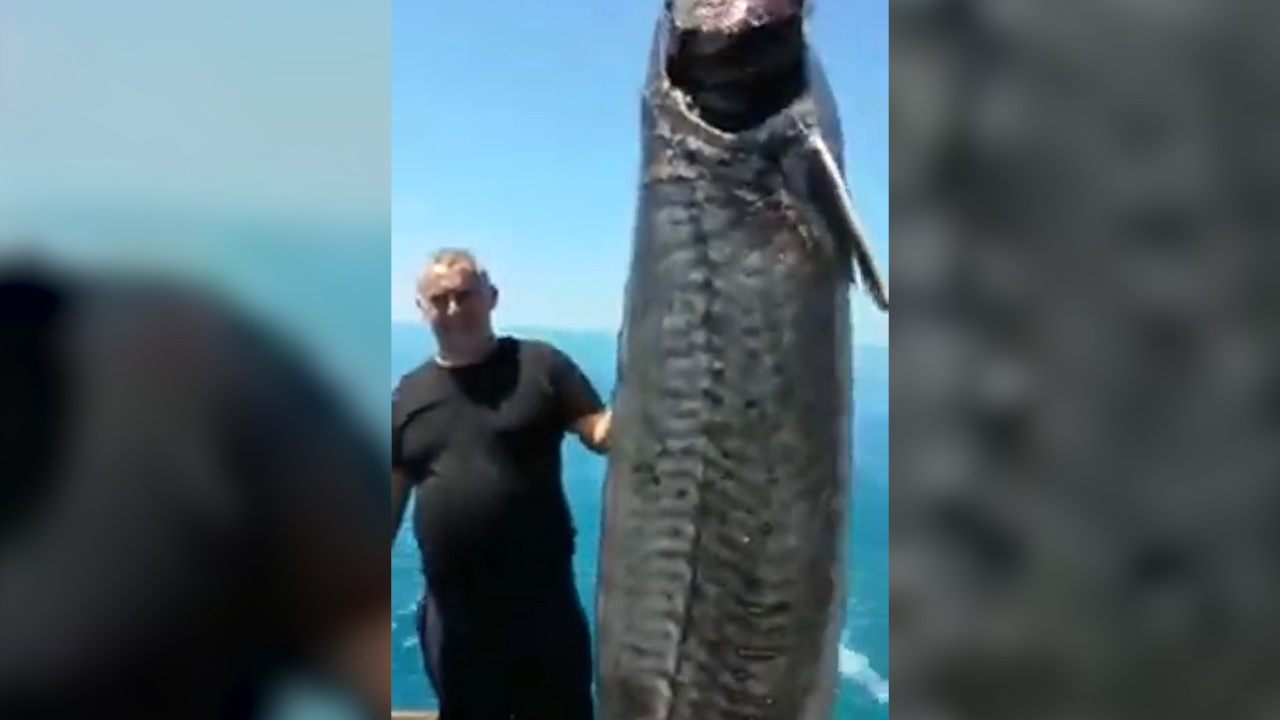 Nan danh bat trom ca tam trang tai bien Caspi hinh anh