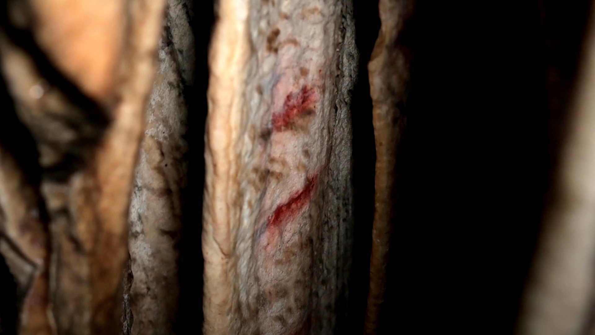 Nhung buc tranh trong hang dong cua nguoi Neanderthal hinh anh