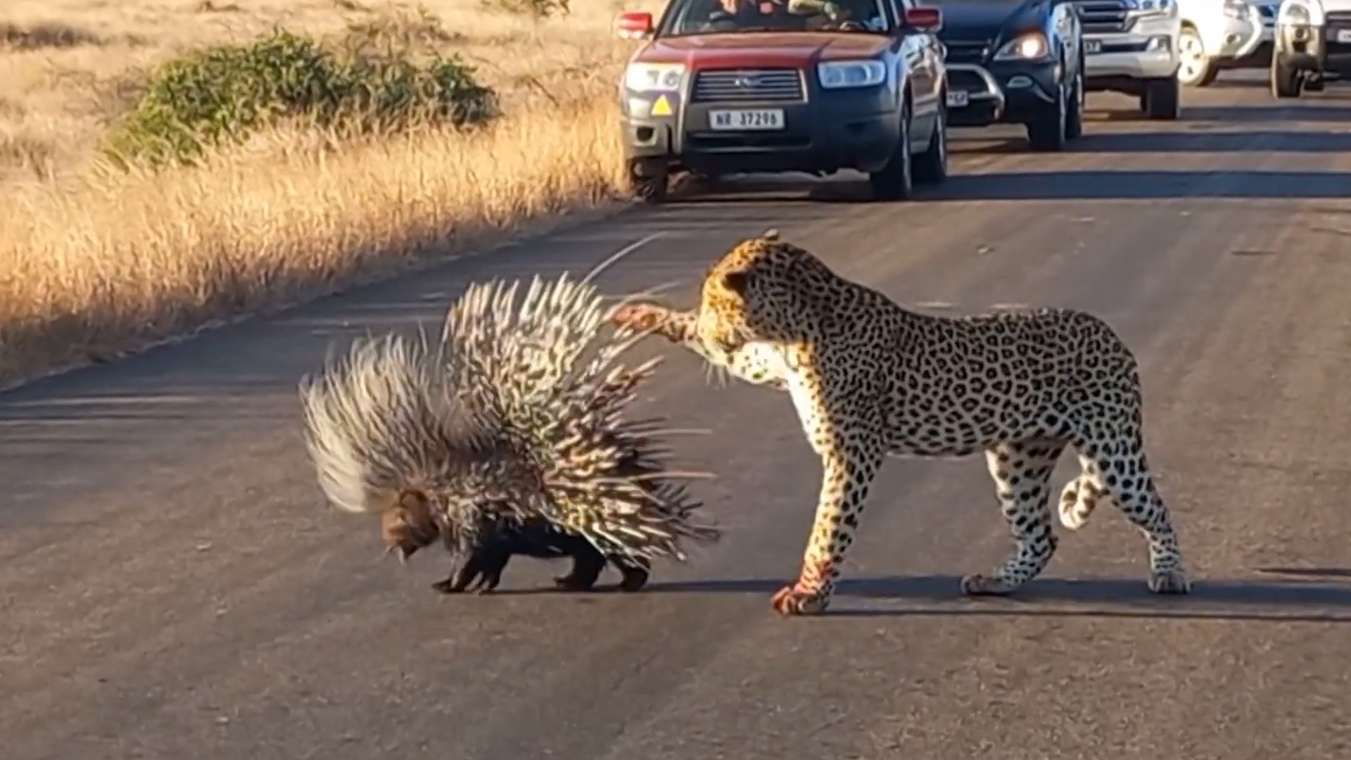 Bao dom that bai trong viec tan cong nhim hinh anh