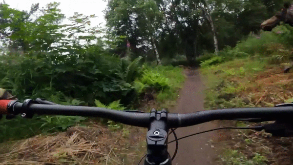 Cham tran nai sung tam khi dang dap xe trong rung hinh anh