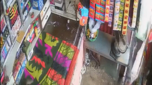 Nam thanh nien bo chay khi thay con ran dai khoang 2 m hinh anh