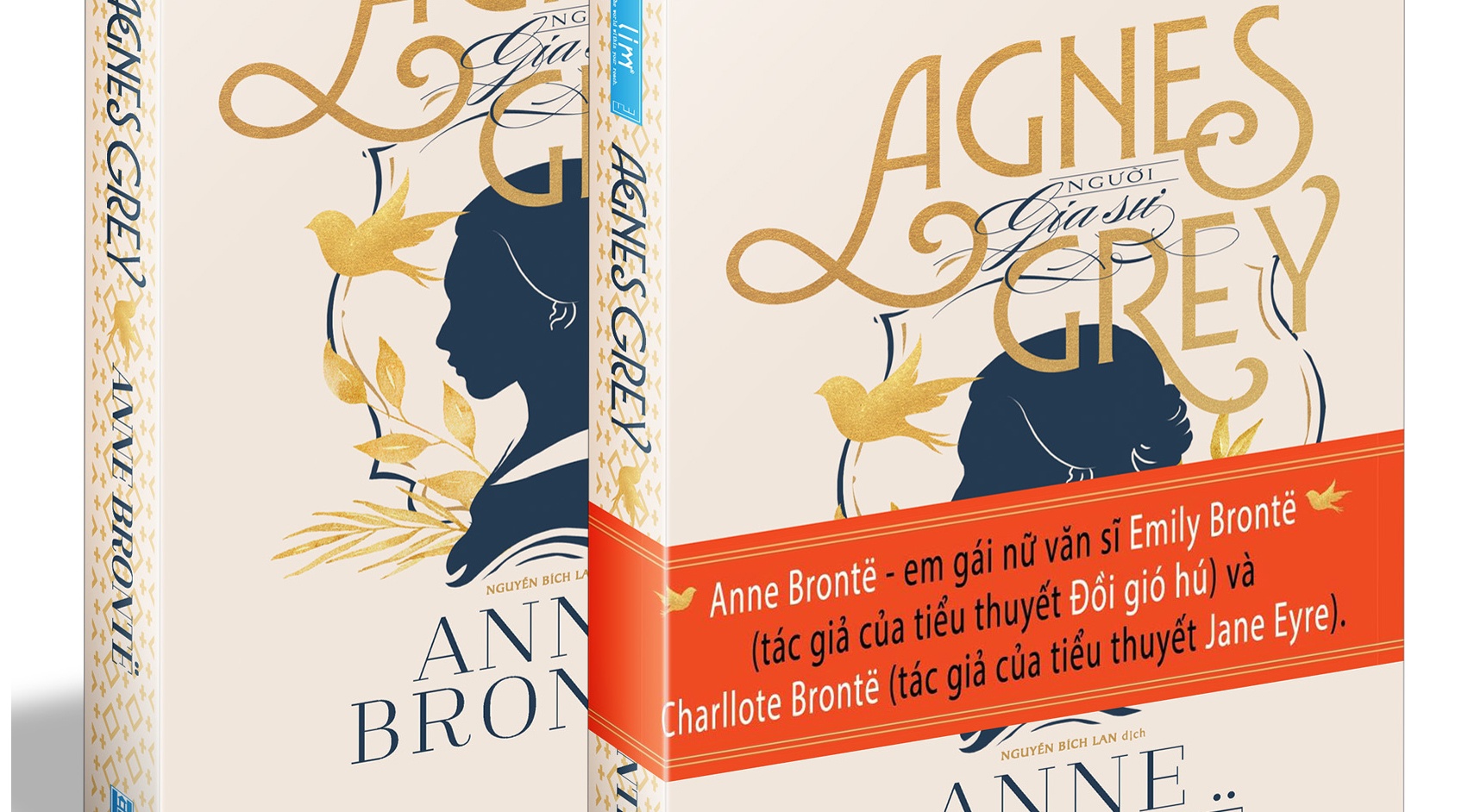 Tieu thuyet nghieng xuong phan doi thap be cua Anne Bronte hinh anh