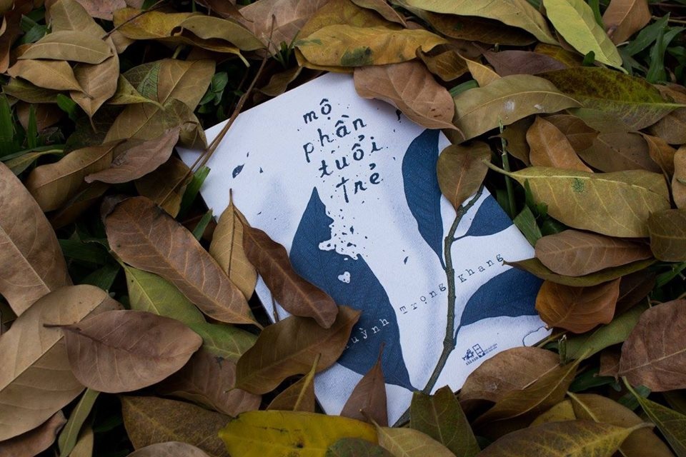 Mo phan tuoi tre,  Sach ve Viet Nam Cong hoa,  Sach lich su anh 1