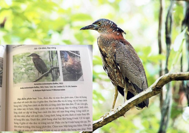 Sách sai phạm, Tiêu hủy sách ảnh 2 Sach sai pham, Tieu huy sach anh 2