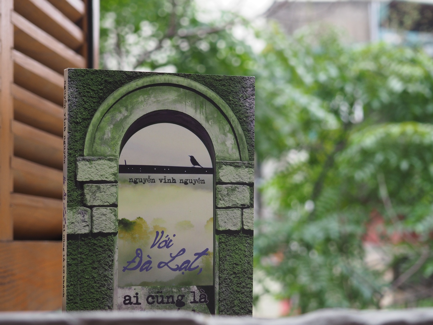 Da Lat,  Lu khach,  Tan van anh 1