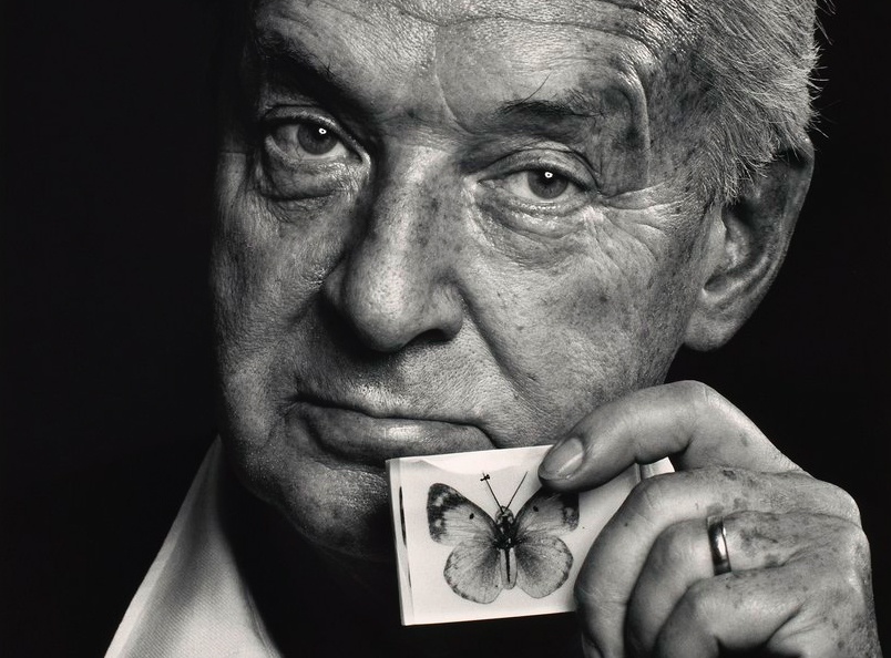 Nabokov,  Lolita,  Goi duc anh 1