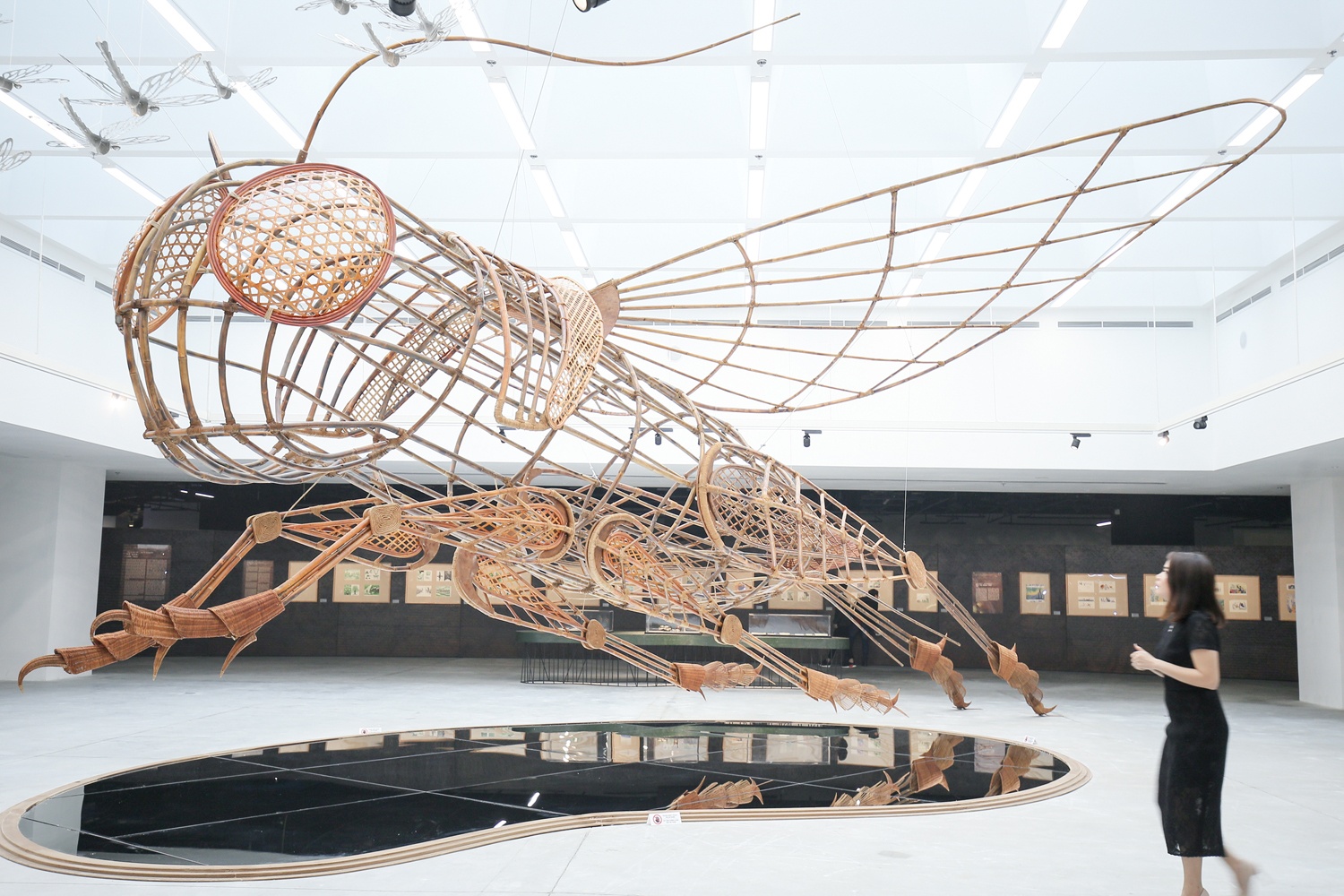 Ta Huy Long cham toi the gioi ky dieu cua De Men hinh anh