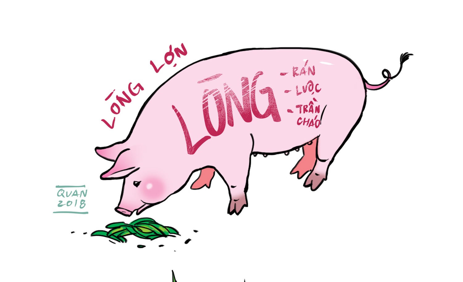 Am thuc,  Long lon,  Chao long anh 3