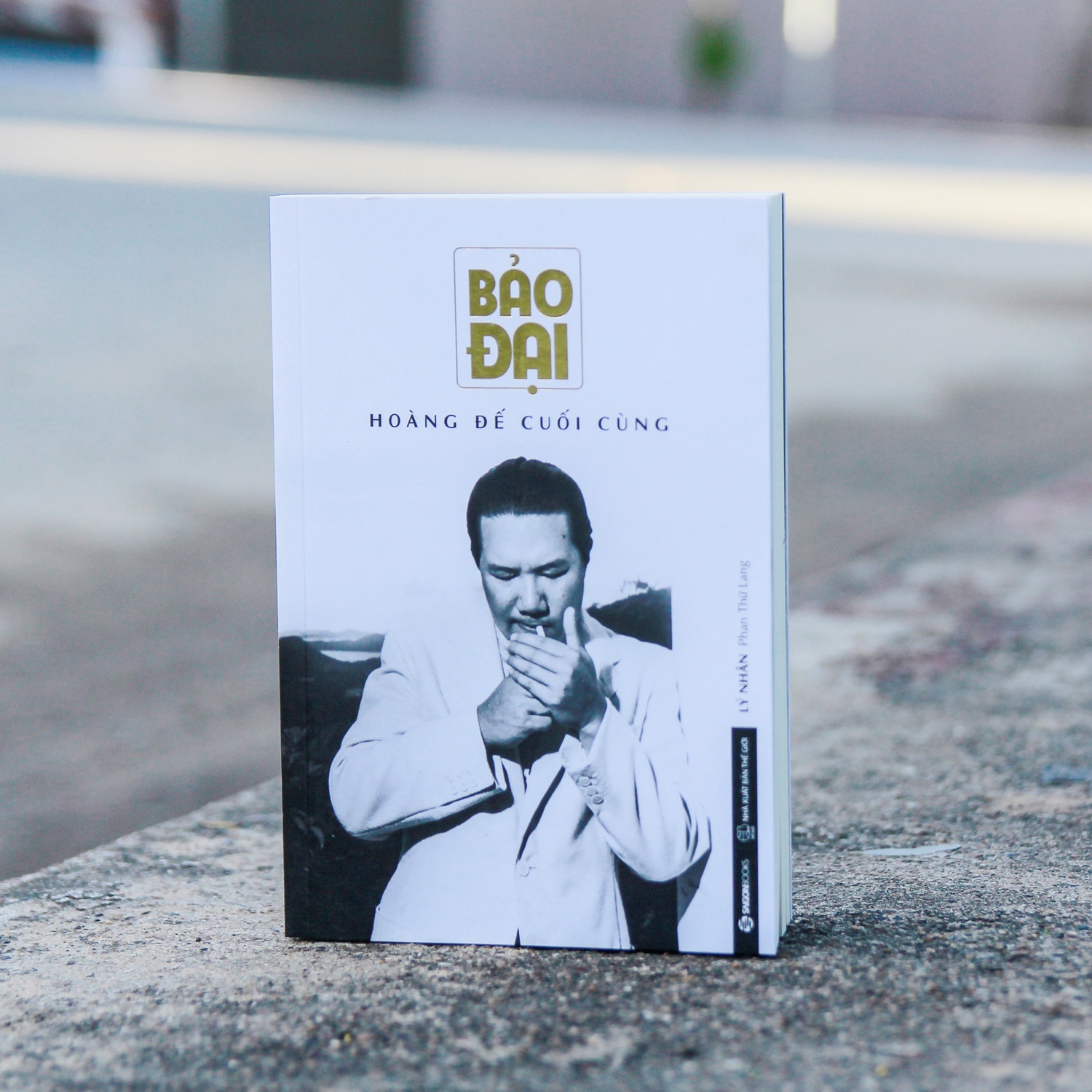 Vua Bao Dai la con ai anh 1