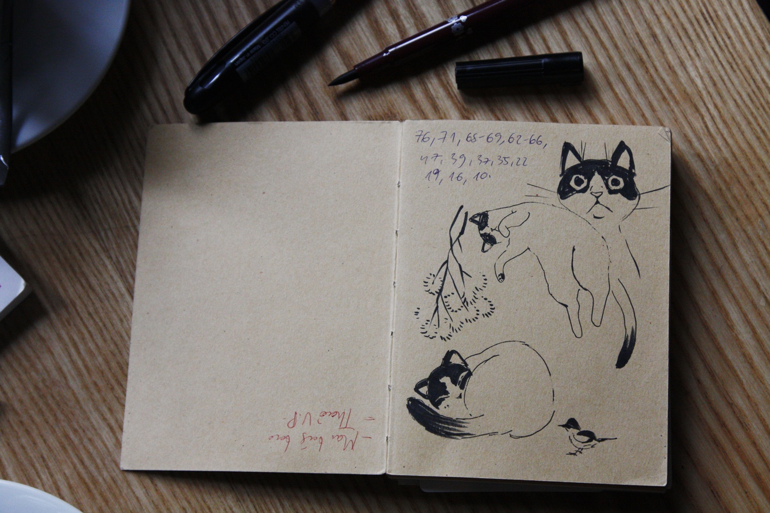 Hoa si Dang Hong Quan ve Cai Tet cua meo con anh 3