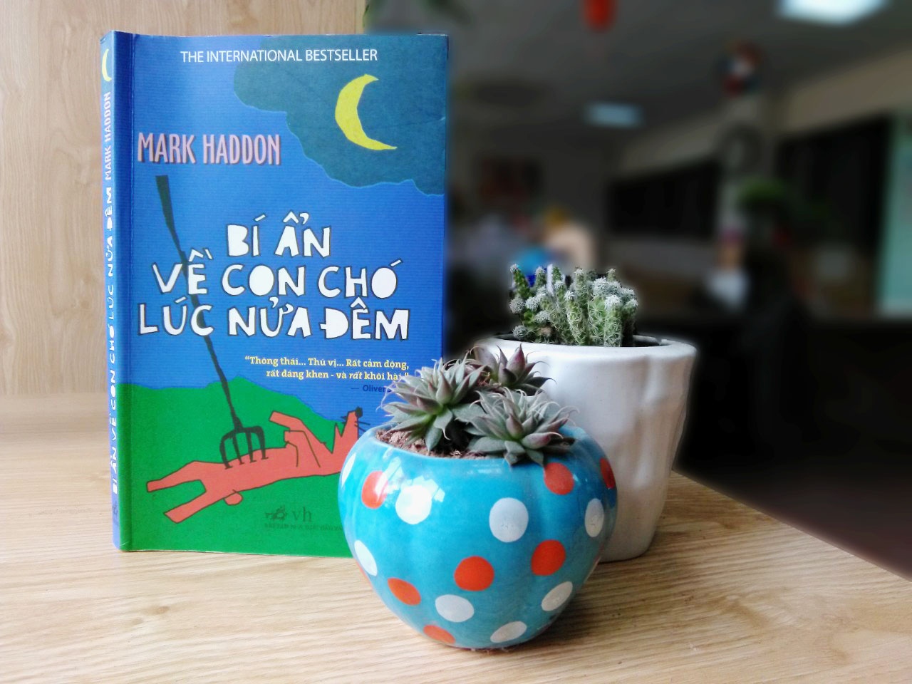 ‘Bi an con cho luc nua dem’: Tan cung ve su thau cam hinh anh