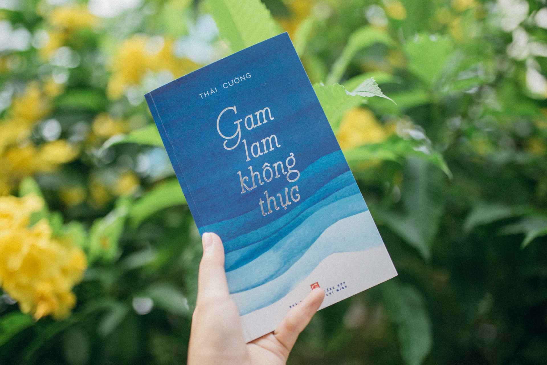 Thai Cuong noi ve "Gam lam khong thuc" anh 1