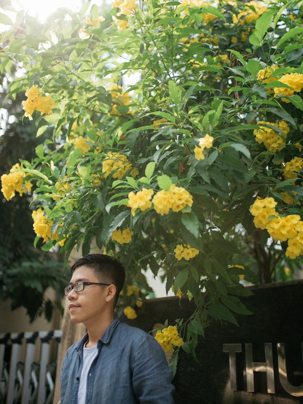 Thai Cuong noi ve "Gam lam khong thuc" anh 2