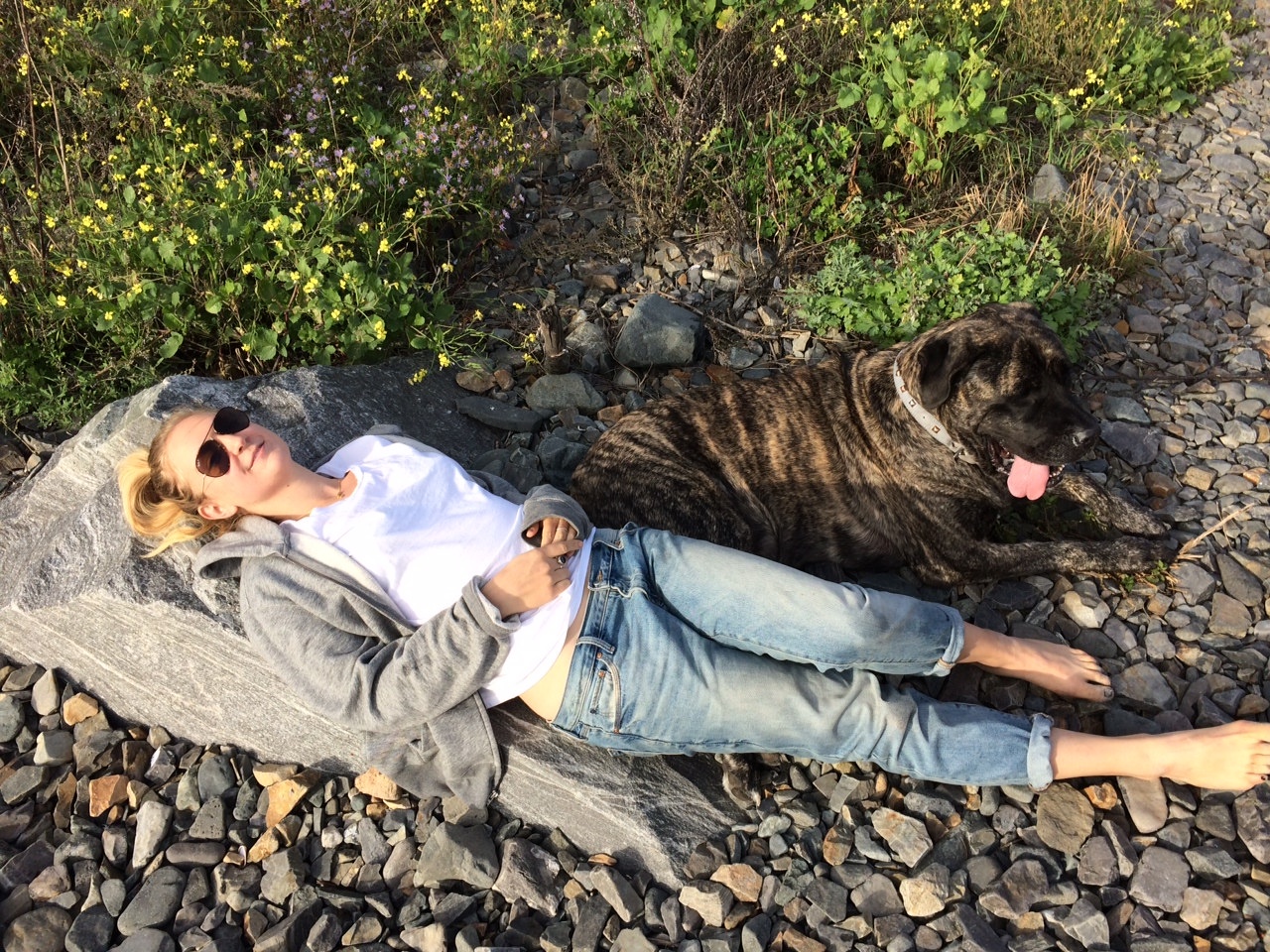 Sach Danh sach uoc nguyen cua Gizelle anh 2