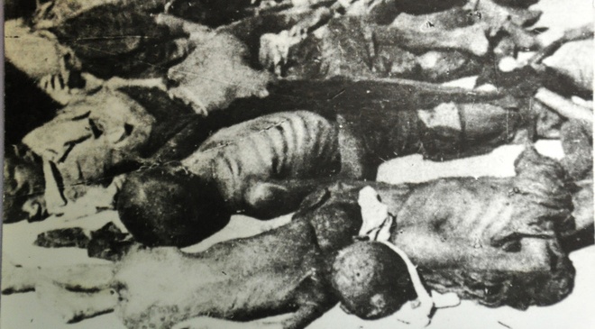 Chuyen chua ke ve cong trinh nghien cuu nan doi 1945 o Viet Nam hinh anh