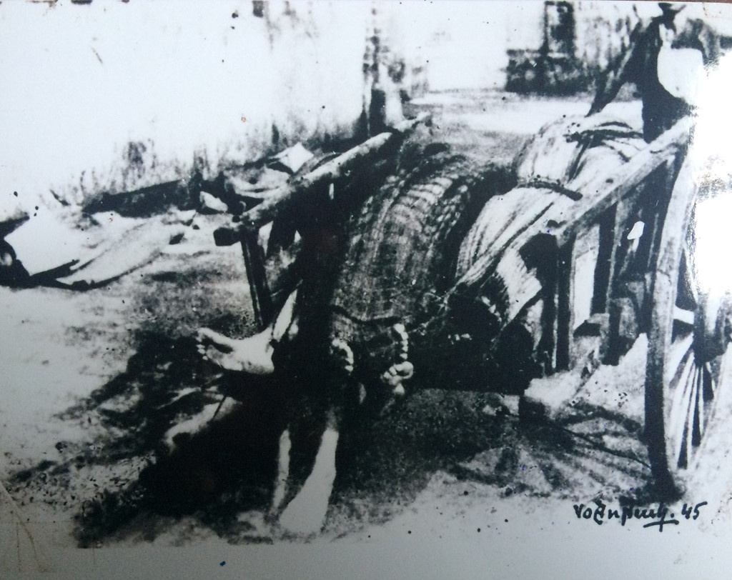 Những cái chết thương tâm trong nạn đói ảnh 2 Nhung cai chet thuong tam trong nan doi anh 2