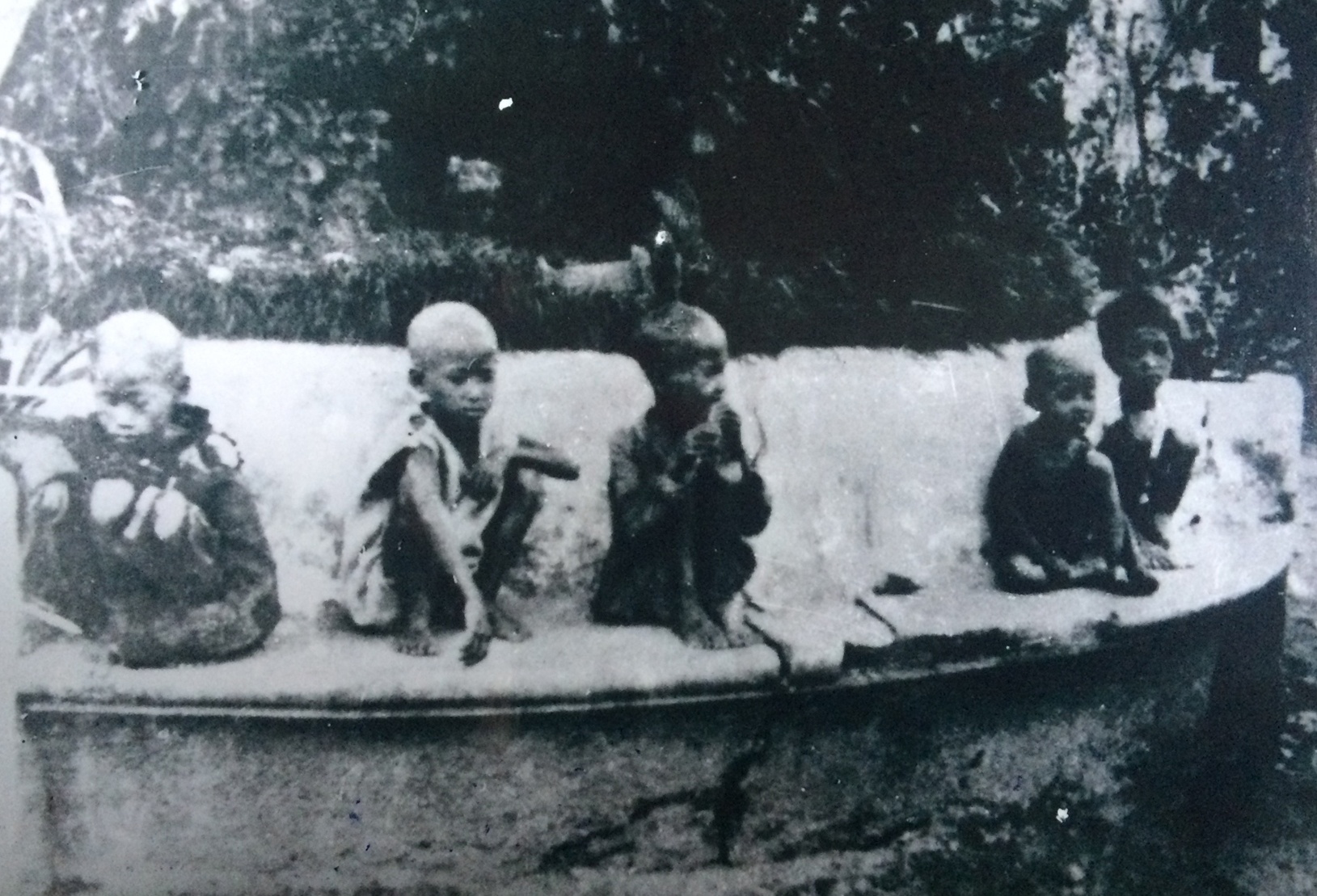 Noi am anh nan doi di vao van chuong nhu the nao? hinh anh