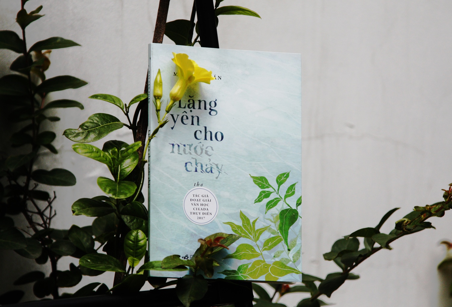 ‘Lang yen cho nuoc chay’ - Dong chay tho khong ngung cua Mai Van Phan hinh anh