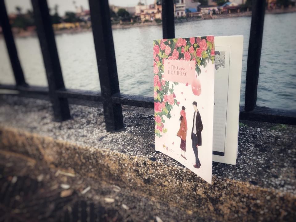 Tro của hoa hồng ảnh 1 Tro cua hoa hong anh 1