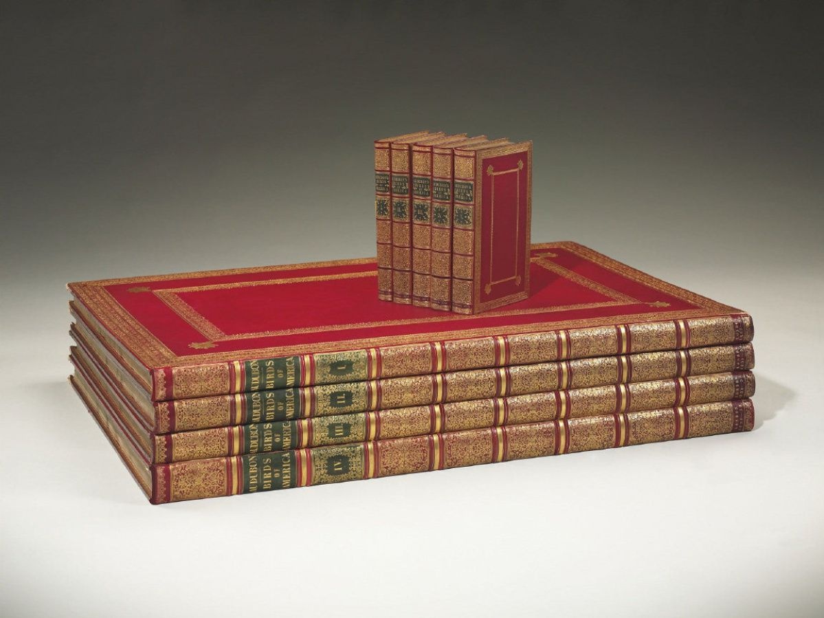 Sach Cac loai chim My ban gan 10 trieu USD anh 1